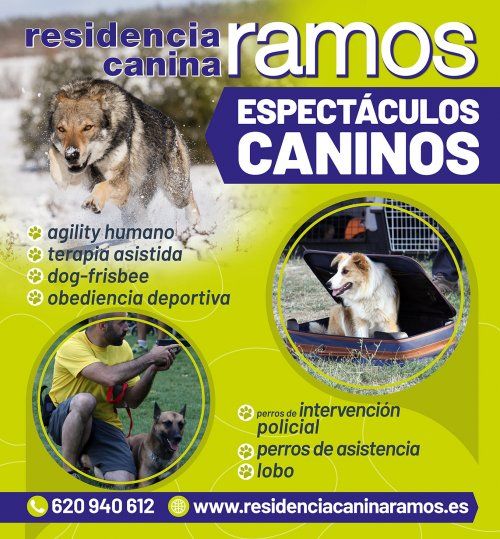 El mejor Espectáculo Canino para las fiestas de tu localidad