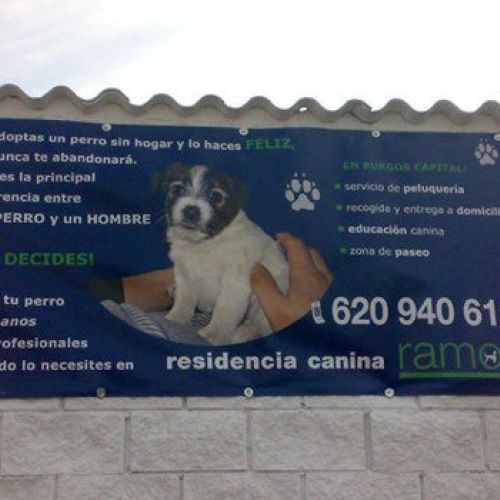 RESIDENCIA CANINA RAMOS 3