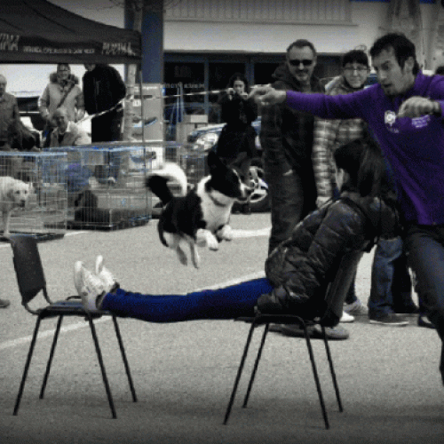 DECATHLON 2