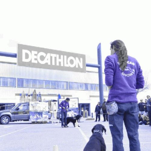 DECATHLON 3